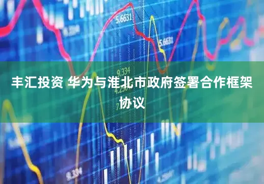 丰汇投资 华为与淮北市政府签署合作框架协议