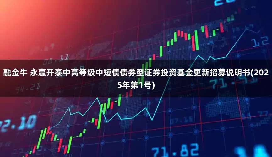 融金牛 永赢开泰中高等级中短债债券型证券投资基金更新招募说明书(2025年第1号)