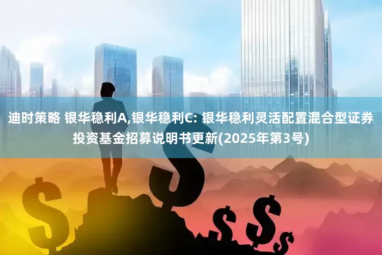 迪时策略 银华稳利A,银华稳利C: 银华稳利灵活配置混合型证券投资基金招募说明书更新(2025年第3号)