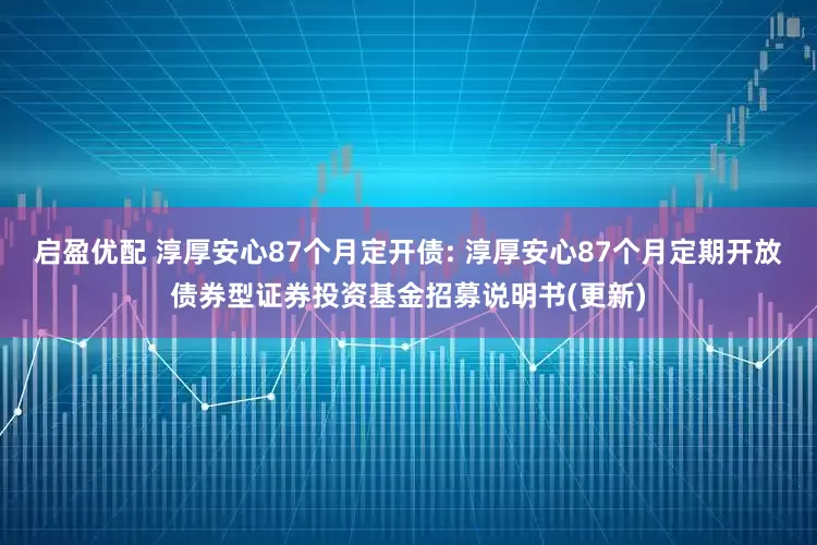 启盈优配 淳厚安心87个月定开债: 淳厚安心87个月定期开放债券型证券投资基金招募说明书(更新)