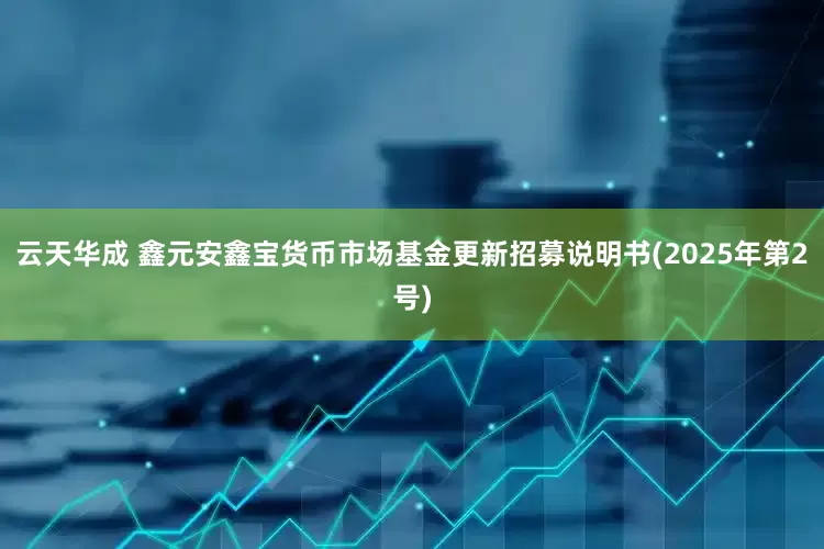 云天华成 鑫元安鑫宝货币市场基金更新招募说明书(2025年第2号)