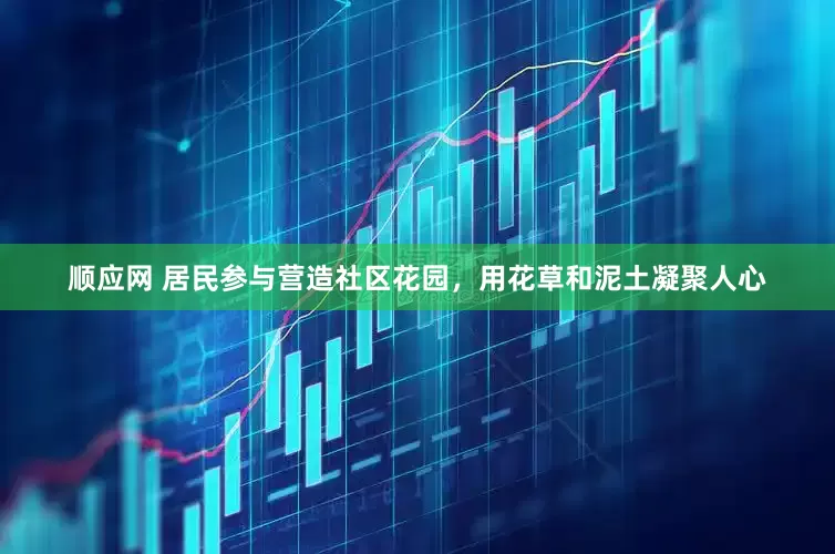 顺应网 居民参与营造社区花园，用花草和泥土凝聚人心