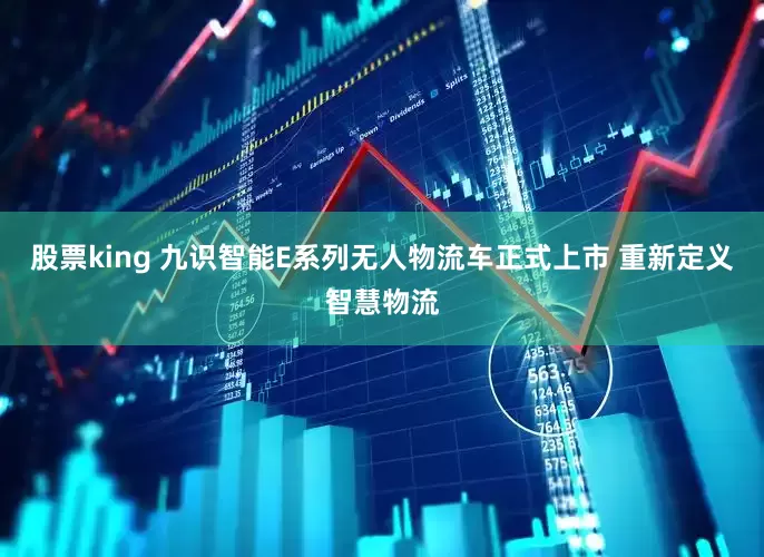股票king 九识智能E系列无人物流车正式上市 重新定义智慧物流